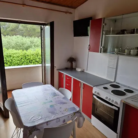 Apartment Sea Shell Vir